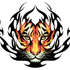 Temporary_tattoo_tribal_tiger_black